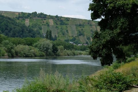Bild 5 Blick auf Fluss mit Landschaft